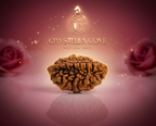 Natural 2 Mukhi Rudraksha Beads