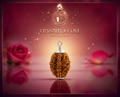 Natural 2 Mukhi Rudraksha Pendant-Silver (92.5)