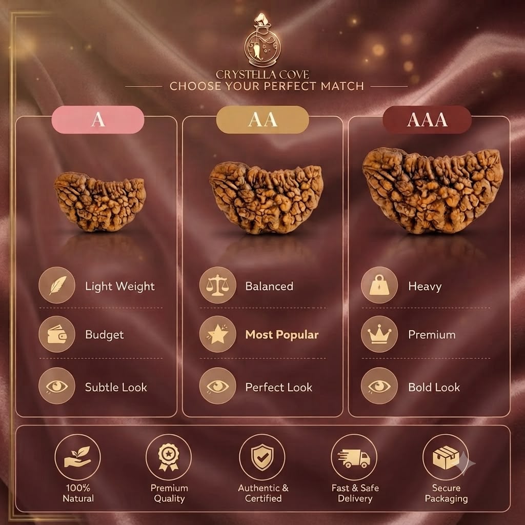 Natural 1 Mukhi Rudraksha Bead